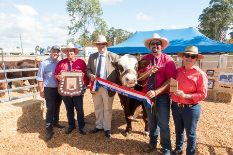Primex Field Days - Accommodation Port Macquarie 0