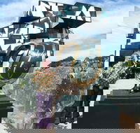 Salvador Dali Sculpture Exhibition - Accommodation Port Macquarie