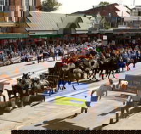 Scone Horse Festival - Accommodation Port Macquarie