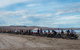Sellicks Beach Historic Motorcycle Races - thumb 1