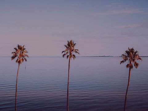 Sunset Streaming Live DJ Streams - Accommodation Port Macquarie 0