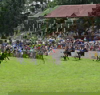 Tumut Derby Day - Accommodation Port Macquarie