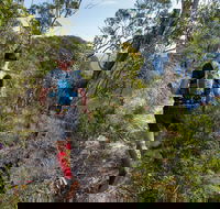 Wild Earth Coastal High 50 - Accommodation Port Macquarie