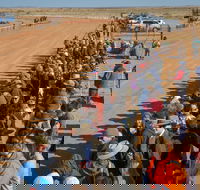28th Marree Australasian CAMEL CUP 3 July 2021 - Accommodation Port Macquarie
