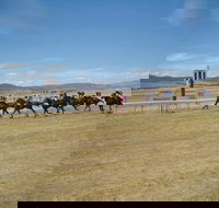 Adaminaby Cup Race Day - Accommodation Port Macquarie