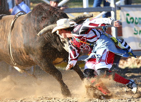 AgriWest Cooma Rodeo - Accommodation Port Macquarie 2