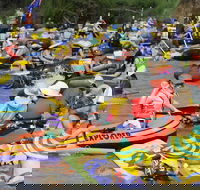 Australia Day Celebrations Gunnedah - Accommodation Port Macquarie