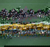 Bledisloe Cup Qantas Wallabies versus All Blacks - Accommodation Port Macquarie