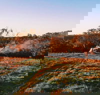 Cargo Road Wines Grande Fiamma - Accommodation Port Macquarie