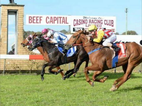 Casino Cup - Accommodation Port Macquarie 0