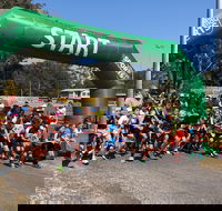 Coffs Harbour Running Festival - Accommodation Port Macquarie