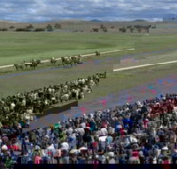 Cooma Sundowners Cup - Accommodation Port Macquarie
