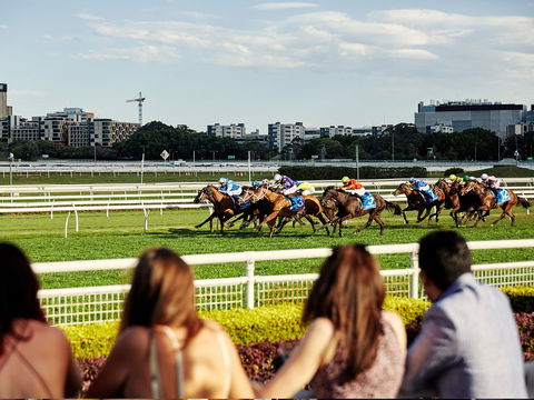 Cup Day - Accommodation Port Macquarie 1