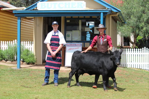 Festival Of The Big Cow - Accommodation Port Macquarie 2