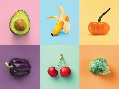 Food For Thought: Alternative Food Sources - Accommodation Port Macquarie 0