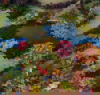 Glenrock Gardens Open Garden - Accommodation Port Macquarie
