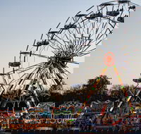 Grafton Show - Accommodation Port Macquarie
