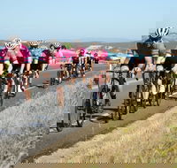Great Ocean  Otway Classic Ride - Accommodation Port Macquarie
