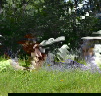 High Country Writers Festival - Accommodation Port Macquarie