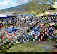 Jamming at Jingellic - Accommodation Port Macquarie