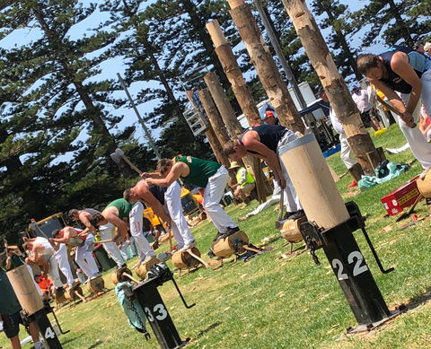Kiama Show - Accommodation Port Macquarie 1