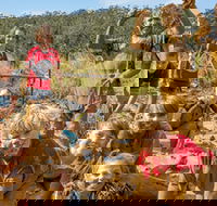 Mini Muddies Obstacle Challenge at Bunnamagoo Estate - Accommodation Port Macquarie