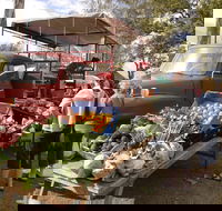 Murphys Creek Markets - Accommodation Port Macquarie