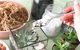Online Live Streaming Class: Make Your Own Terrarium - thumb 0
