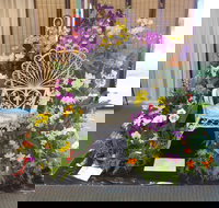 Orchids Out West - Accommodation Port Macquarie