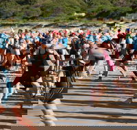 Port Stephens Triathlon Festival - Accommodation Port Macquarie