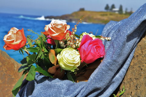 Roses By The Seaside: National Rose Championships And Conference - Accommodation Port Macquarie 0