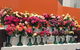 Roses By The Seaside: National Rose Championships And Conference - thumb 1