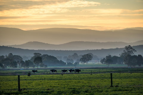 Rotary Club Of Maffra Community Market - Accommodation Port Macquarie 0
