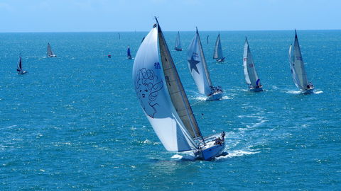 SeaLink Magnetic Island Race Week - Accommodation Port Macquarie 2