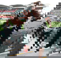 Stadium Stomp Adelaide Oval - Postponed - Accommodation Port Macquarie