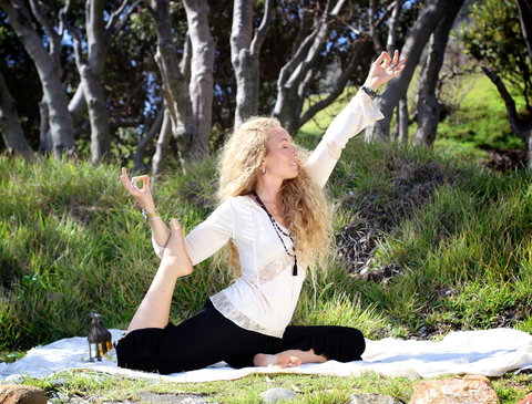 Starlight Festival - Accommodation Port Macquarie 1