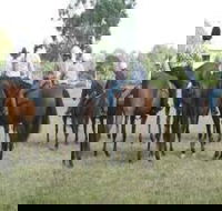 Stroud Show - Accommodation Port Macquarie