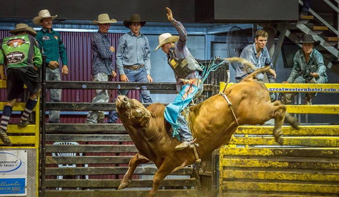 Top Gun And Young Gun Series Round 9 - Accommodation Port Macquarie 0