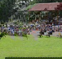 Tumut Boxing Day Races - Accommodation Port Macquarie