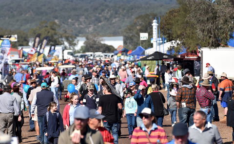 AgQuip - Accommodation Port Macquarie 0