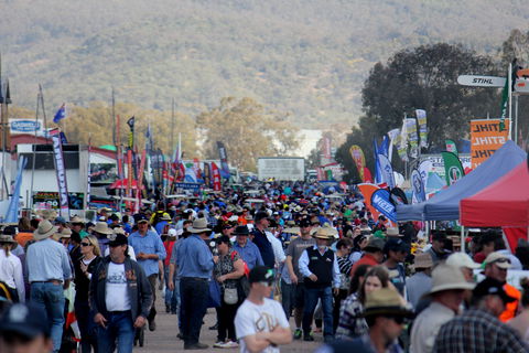 AgQuip - Accommodation Port Macquarie 1