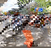 Australian National Busking Championships - Accommodation Port Macquarie