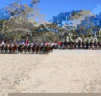 Australian Campdraft Association National Finals Campdraft 2021 - Accommodation Port Macquarie