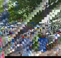 Bellingen Community Markets - Accommodation Port Macquarie