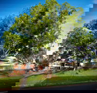 Big Bat Wildlife and Eco Festival - Accommodation Port Macquarie