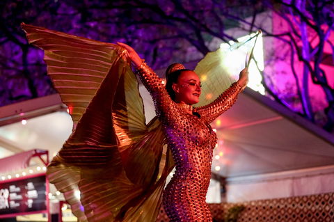 Brisbane Festival - Accommodation Port Macquarie 0