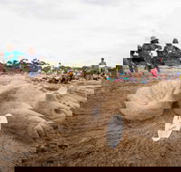 Broulee New Year's Eve Sandcastles and Sculptures - Accommodation Port Macquarie