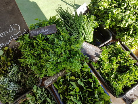 Carlton Farmers' Market - Accommodation Port Macquarie 2