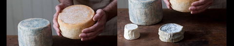 Cheese Making Basics Class - Accommodation Port Macquarie 0