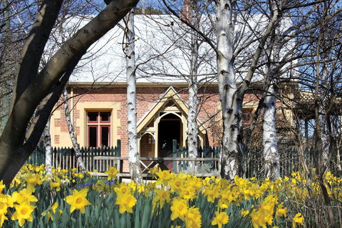 Daffodils At Rydal - Accommodation Port Macquarie 0